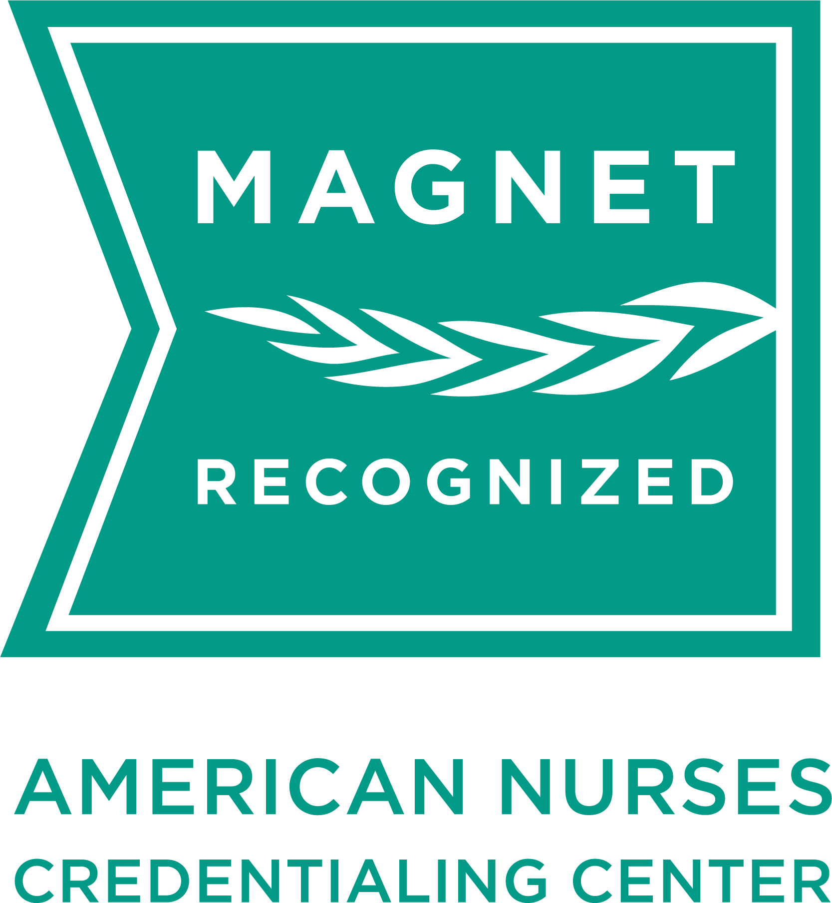 Magnet Hospital